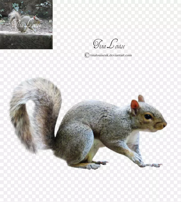 ��������½�ض���Ұ�������������-������