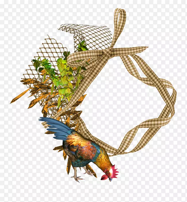 �滭����-������