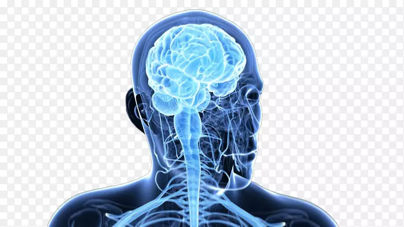 ��������������ϵͳ-���Կ������ԡ�-������