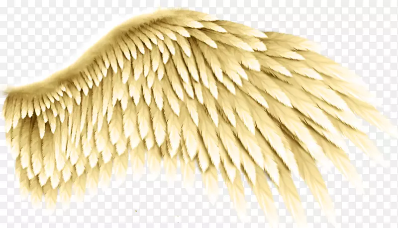 �����ֽ����ͼ�������-������