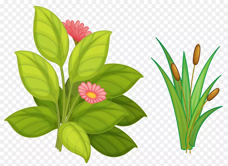 Ǿޱ�ƻ���-����-������