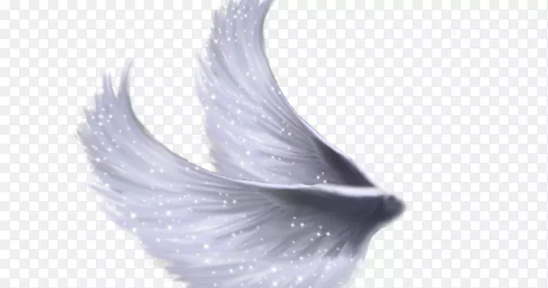 ������-������