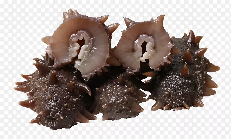 ����ʳƷ����ʳƷ�ƹ�-������