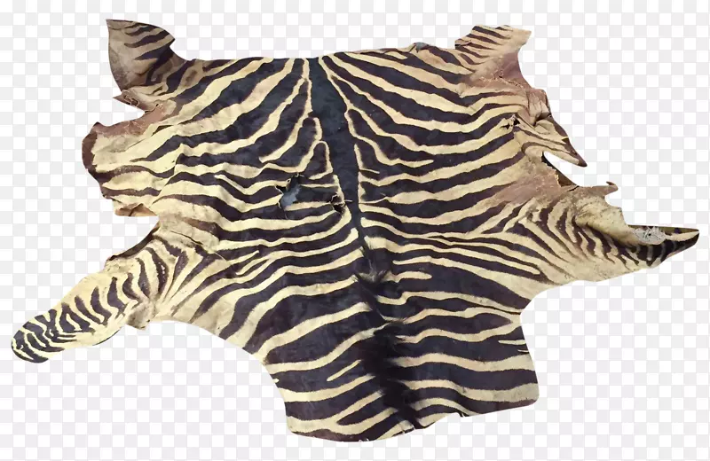 ����Ƥ��̺�ذ�.��������-������