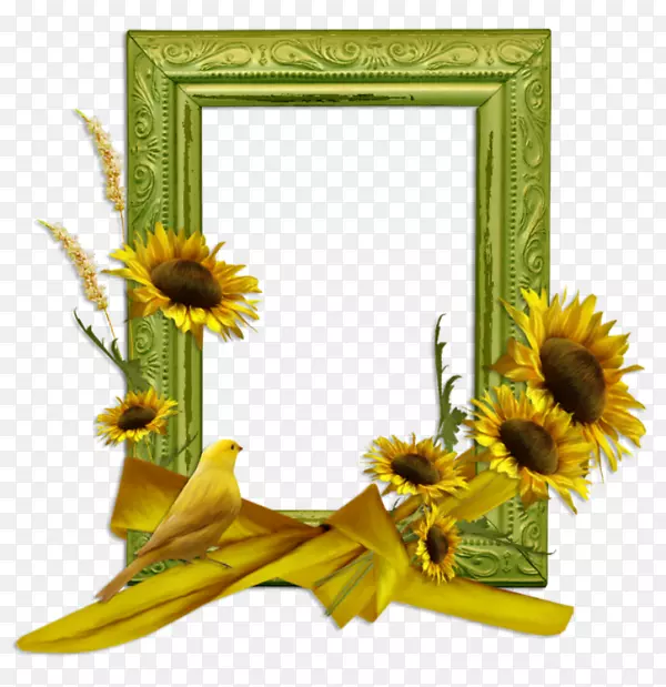 ��򲩿�-�＾�߿�-������