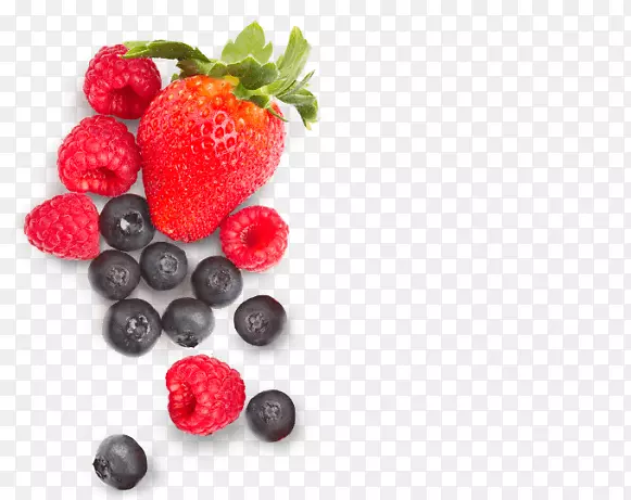 ��ݮ֭����Ӣʽ�ɱ�-��ݮ-������