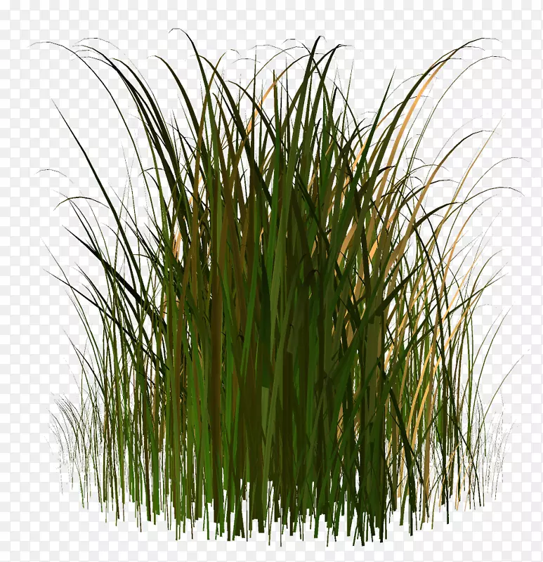 �ݱ�ֲ���������-������