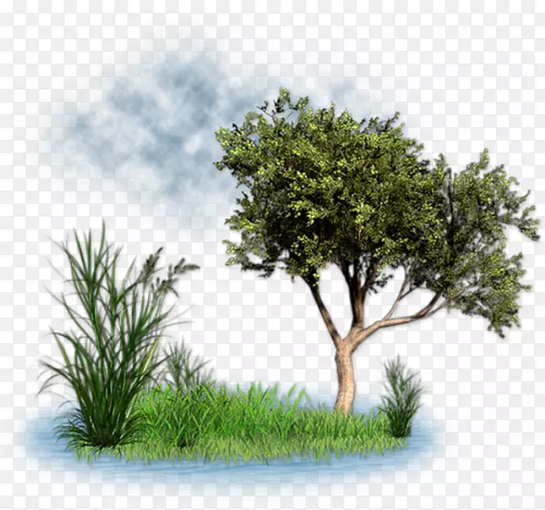 ���ͼ�����-������