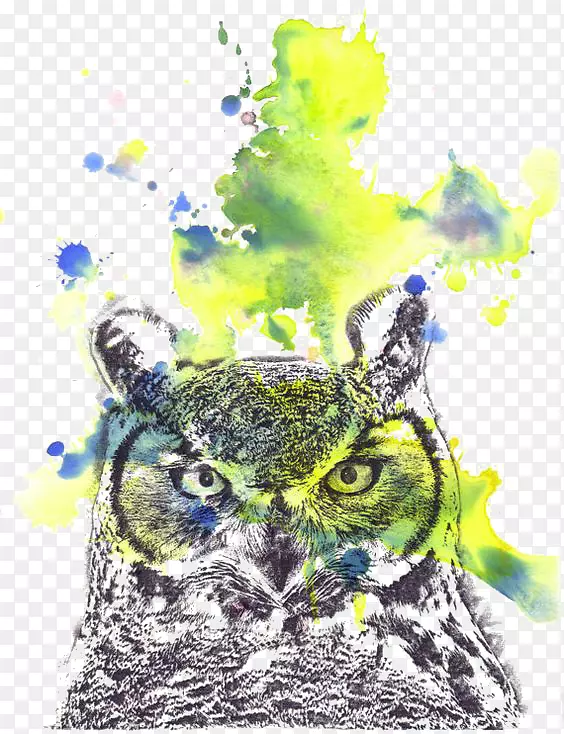 èͷӥ����ˮ�ʻ�-èͷӥ-������