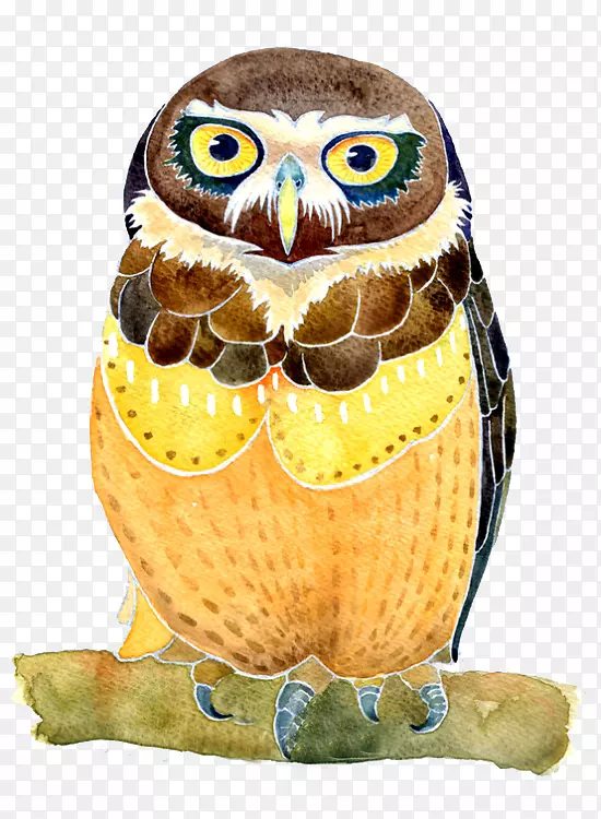 èͷӥˮ�ʻ���ͼ-èͷӥ-������