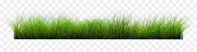 ��ƺ���-������