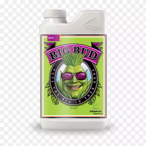 Ӫ��ѿ����������-������