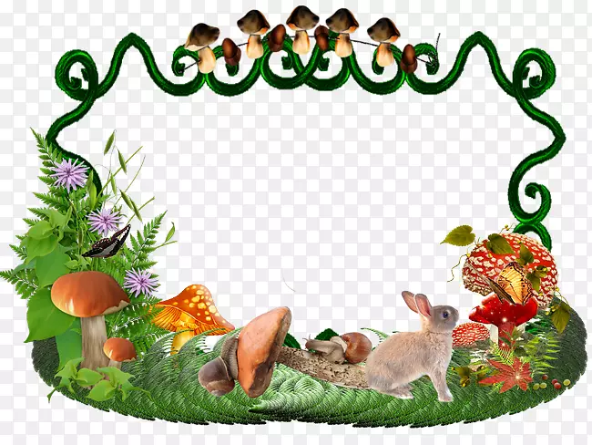 ��ͼ���йܷ��񲩿�-������