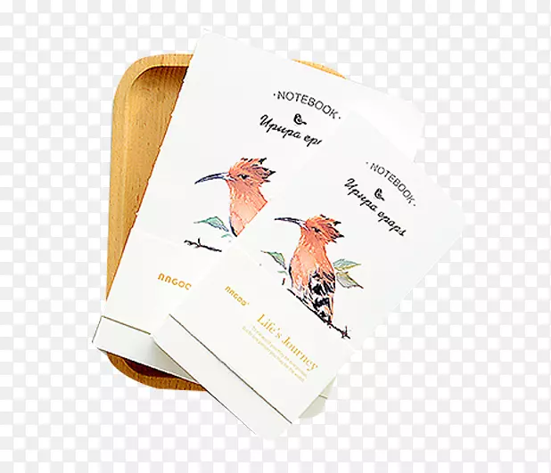 �ʼǱ�����.���Ի�С�űʼǱ�-������