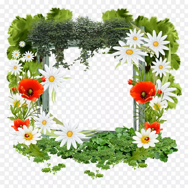 ����ֲ��-������