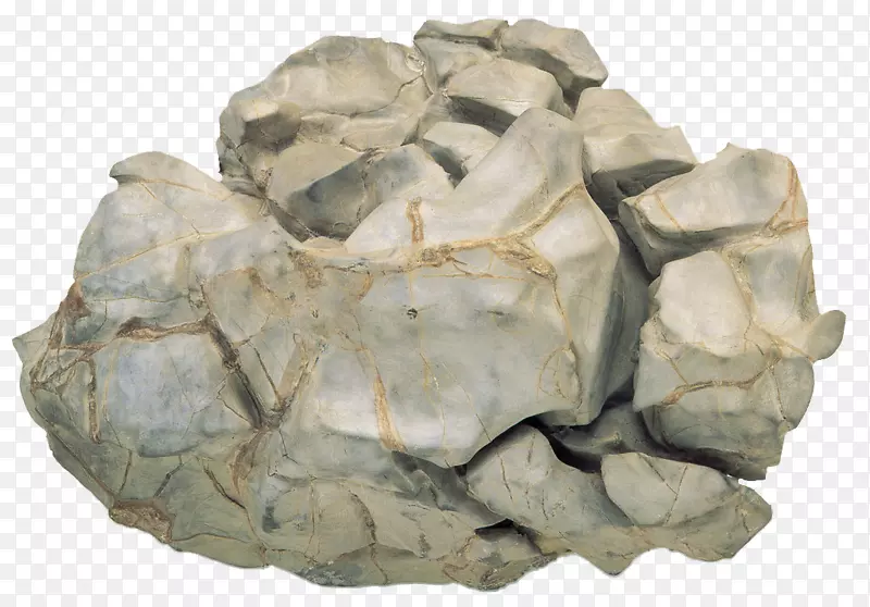 �鼮������ѧ�����ѧ�����ҡ����-������