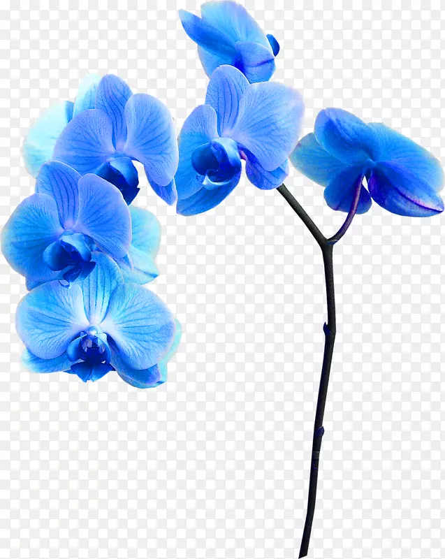 ����������-��-������