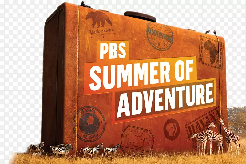 UNC-����PBS��ͯWNED-����ð�յ�Ӱ-������