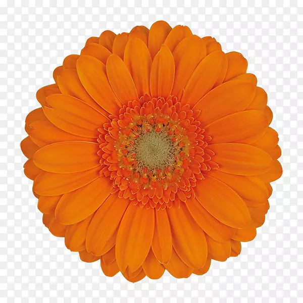 ��������-������