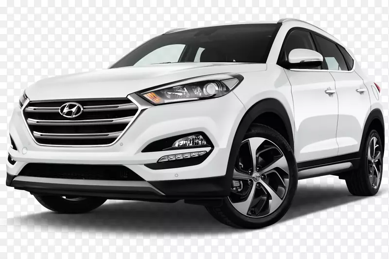 �ִ�ͼɭ�µ�Q5�ִ�ix 35-�ִ�-������