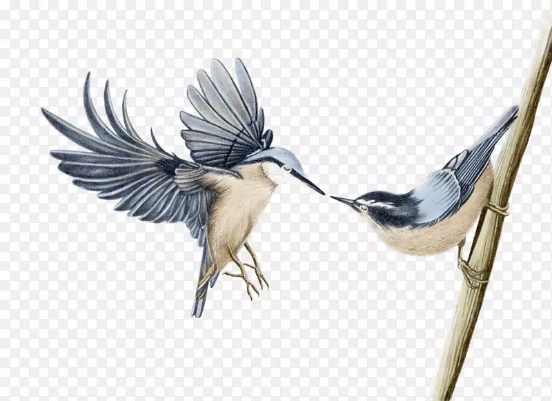 ֽˮ�ʻ��ؿ�-������