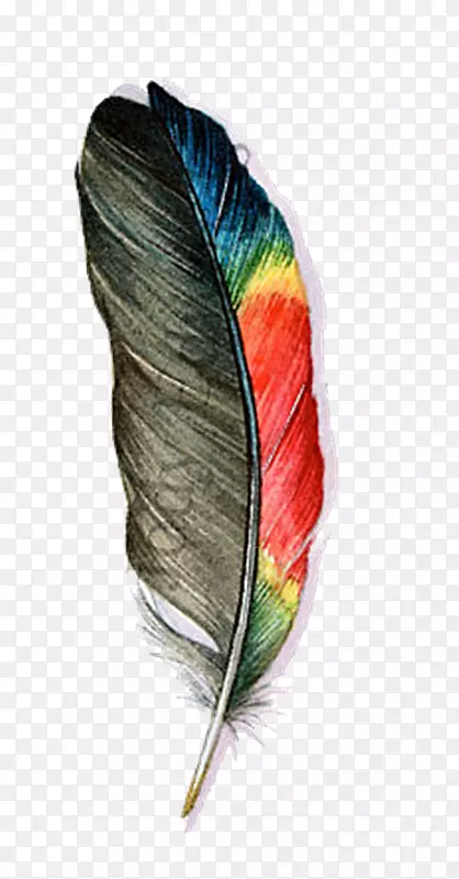 ��ë������ˮ�ʻ�.��ë-������