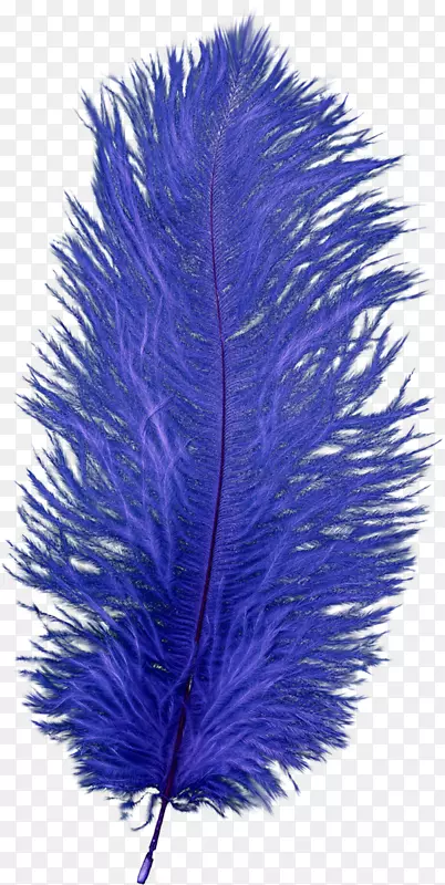 ��ë-��ë-������