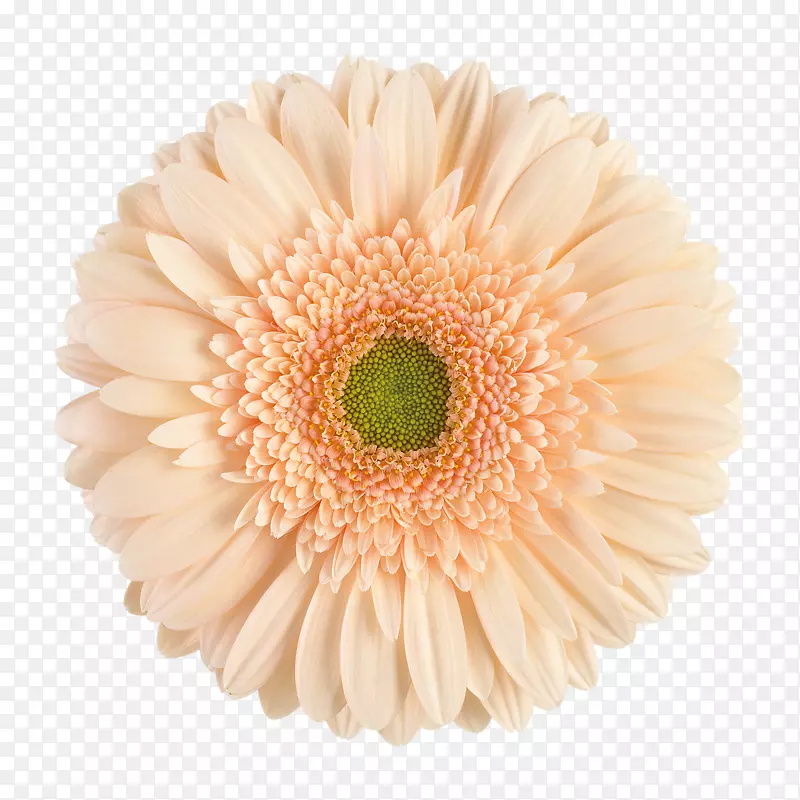 �����л��ջ�˫��-������