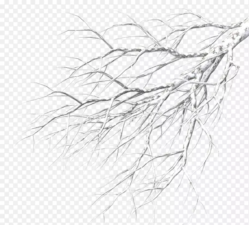 ��֦�滭������-��-������