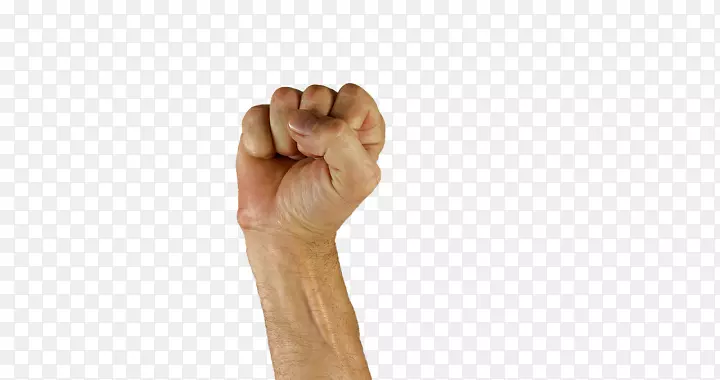 ��ָ-������