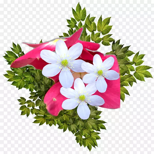 ���������Ӱ���-������