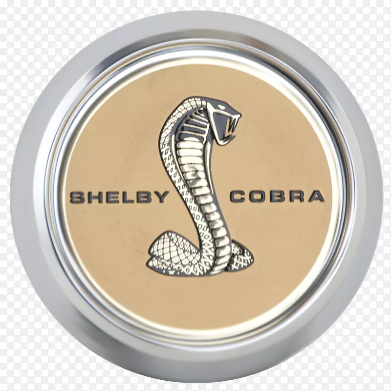 ������̥����������̥ר��-������