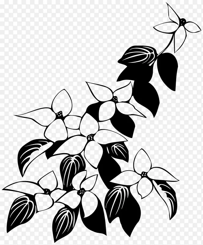 ����ɽ���ǣ�����-������