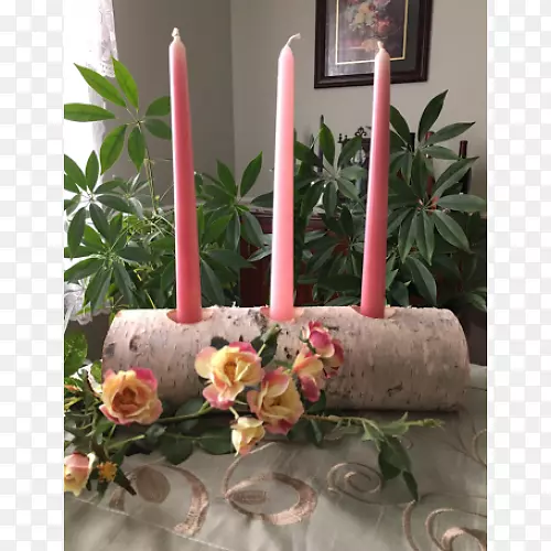 ����ֲ��-������-������