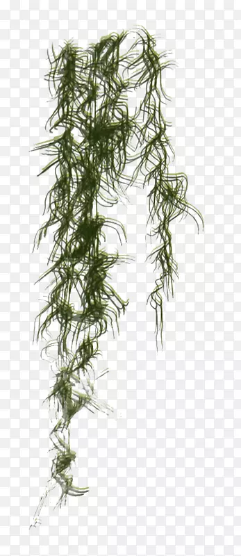 ��������ͼ��-����-������