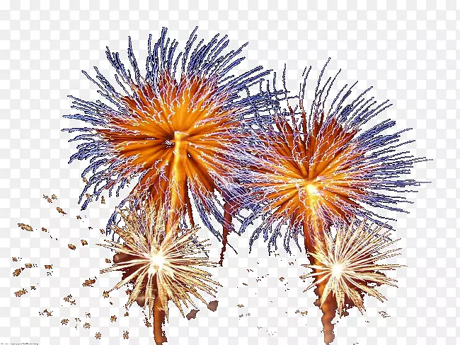 �̻������ŵƽ�����-�̻�-������