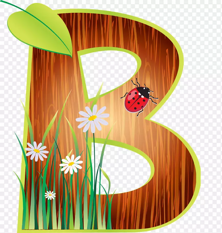 ���������ʼ�����-��-������