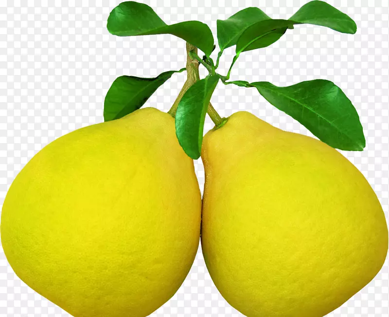 ��֭����-����������-������