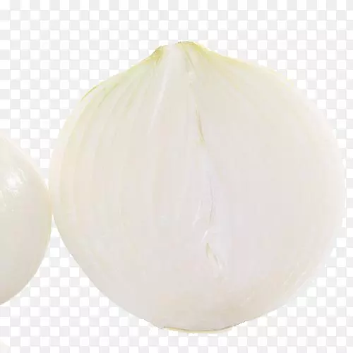 ����л�ʳƷ�߲��л��߲����-������