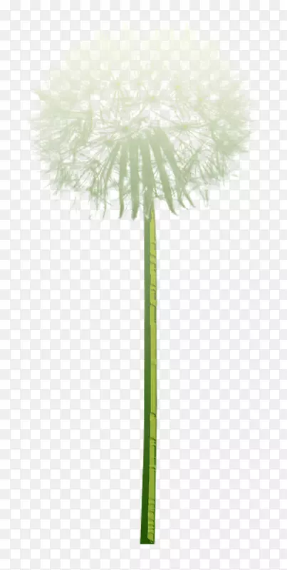 ��ͨ�ѹ�Ӣ��-�ѹ�Ӣ-������