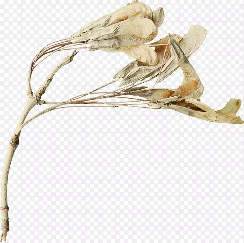 ��������Ӱ���Ӽ�����-������