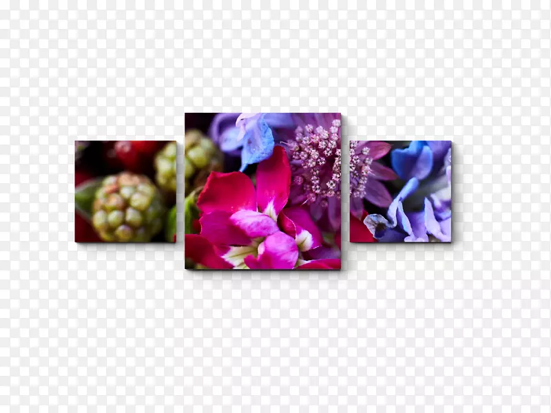 ������ɫ������-��ɫ-������