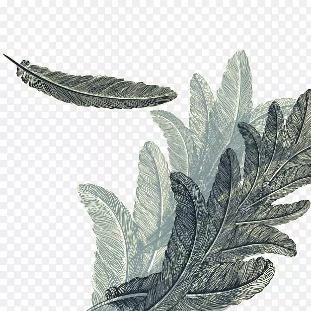 ��ë�滭��˰.���ˮ�ʻ�.��ë�������-������