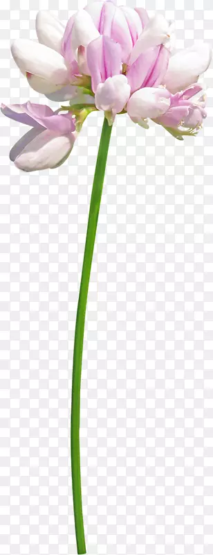 �������-������