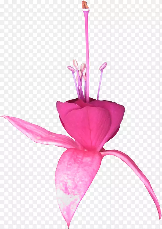 ˮ�ʻ������ܴ���ˮ�ʻ�-������