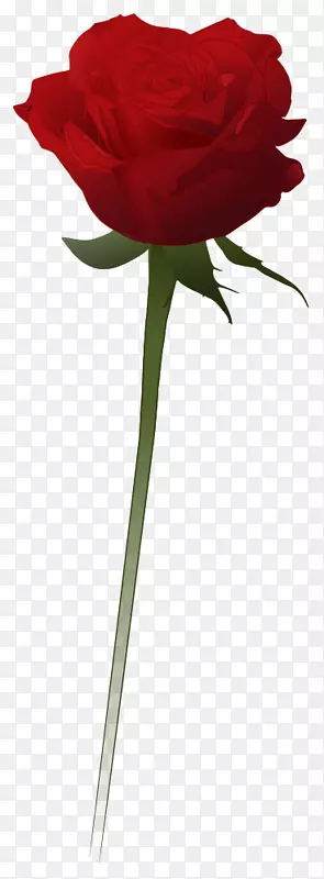 ��԰õ�������-õ��-������