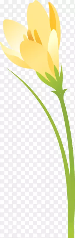 ����Ҷֲ�ﾥ����ֲ�������-������