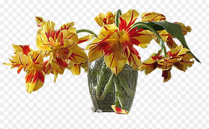 �л���������-����-������