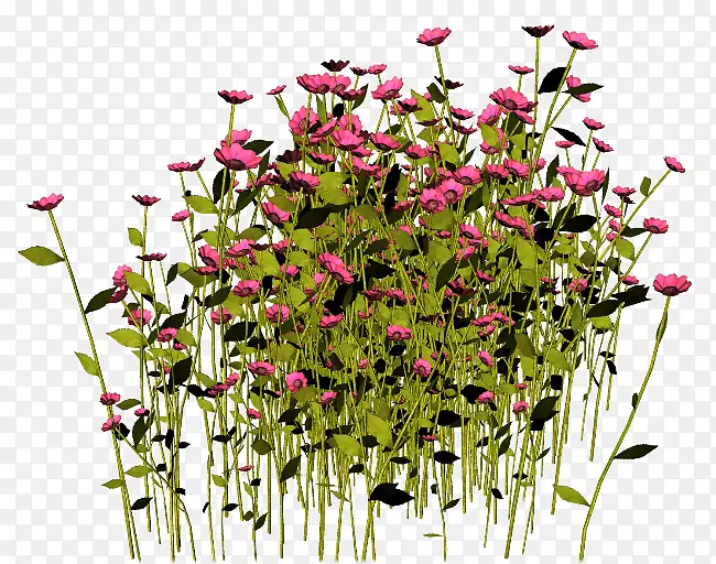 ������ƻ���������-��-������