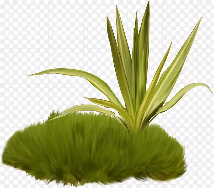 ˮӡ-������